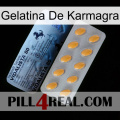 Karmagra Jelly 44